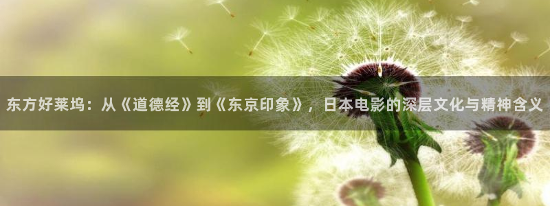 電視劇極速救援全集在線觀看免費